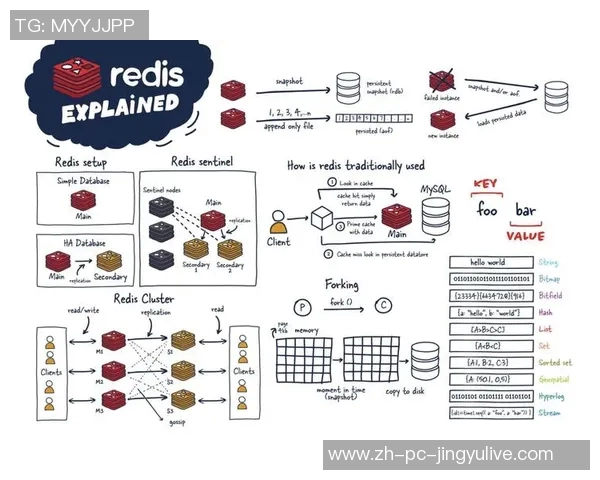 日本直播对决全景解析探索新媒体时代的互动魅力与挑战